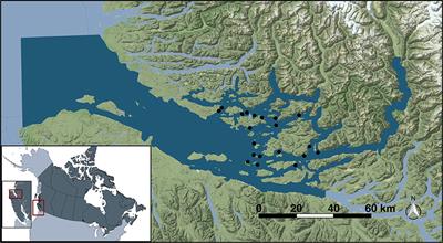 The Use of Kernel Density Estimation With a Bio-Physical Model Provides a Method to Quantify Connectivity Among Salmon Farms: Spatial Planning and Management With Epidemiological Relevance